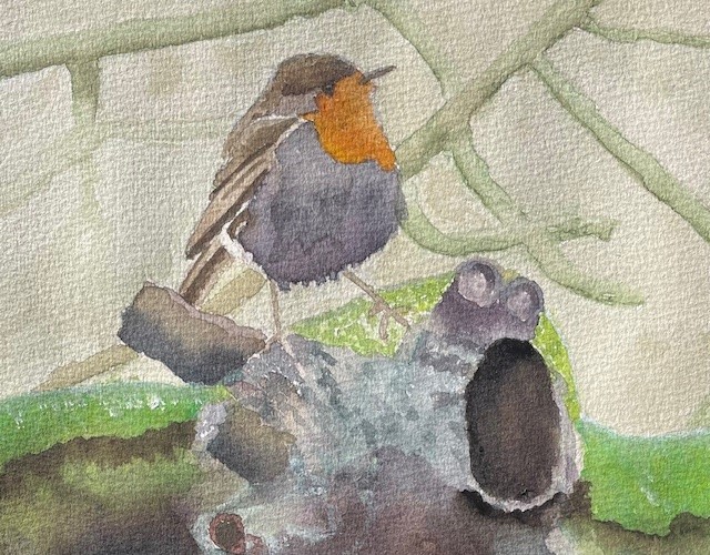 Roodborstje zingt het hoogste lied - kopie